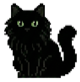 Pantu, the cat