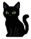 Presun, the cat